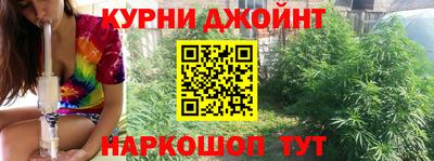 трава Сланцы