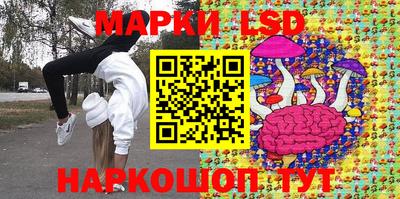 гидра Славгород