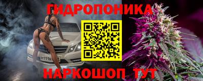 гидра Славгород