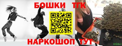 гидра Славгород