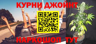 трава Сланцы