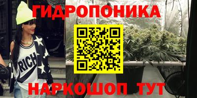 трава Сланцы